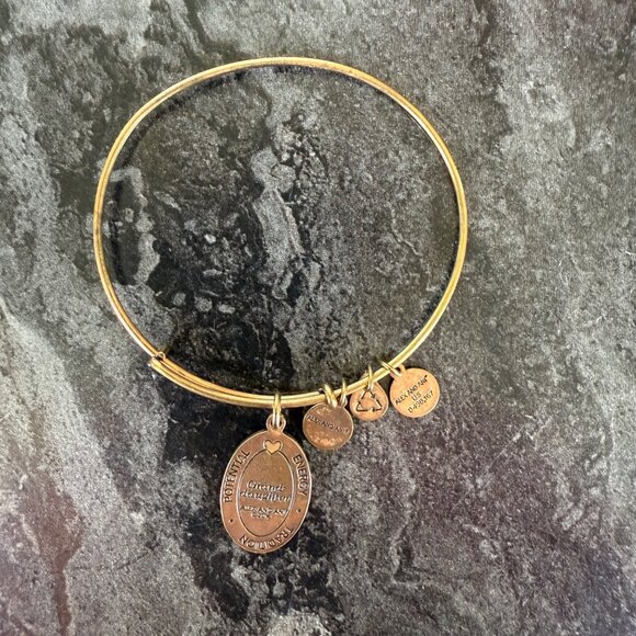 Alex and Ani Granddaughter Charm Bangle Gold Tone 2016 Keepsake Bracelet - Picture 6 of 12